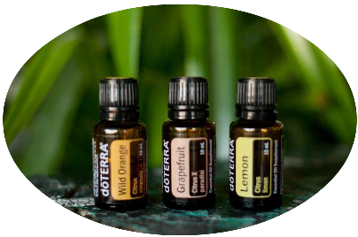 каталог dōTERRA каталог dōTERRA